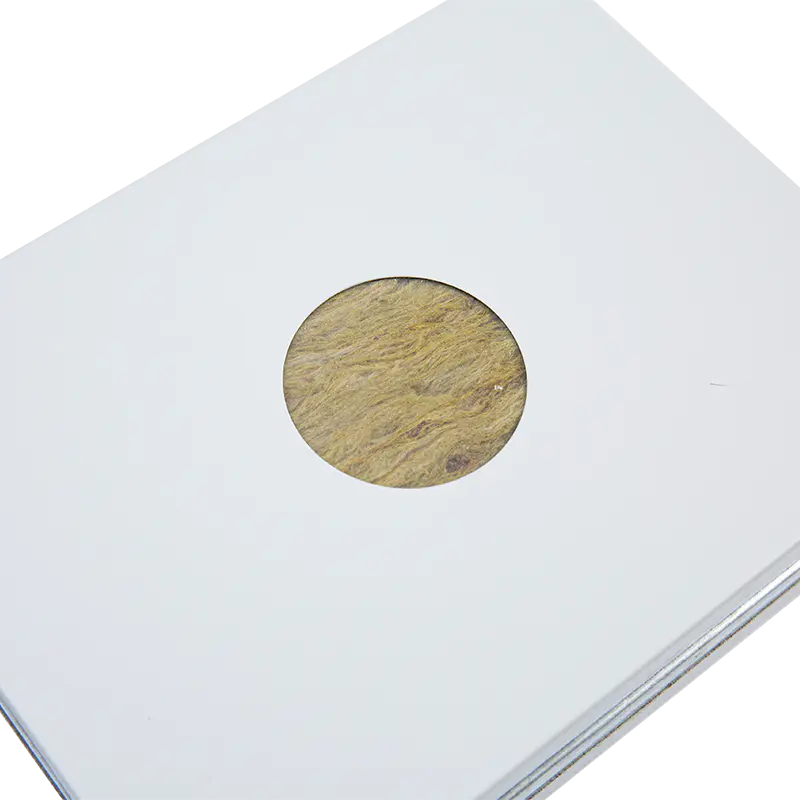 Handmade Rock Wool Cleanroom Panel with Steel Plates